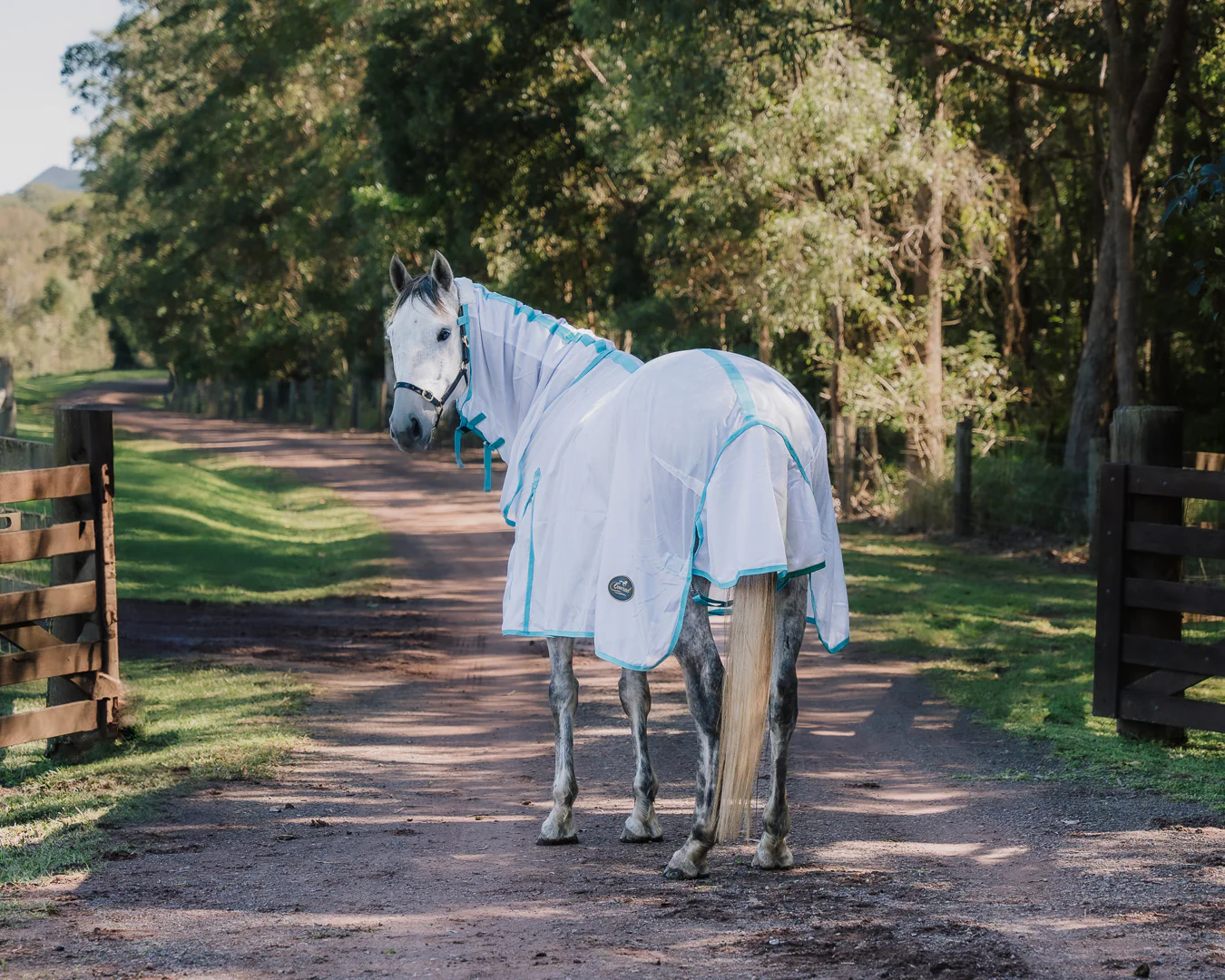 Conrad Fly Mesh Horse Rug Combo - White/Turquoise - Image 2