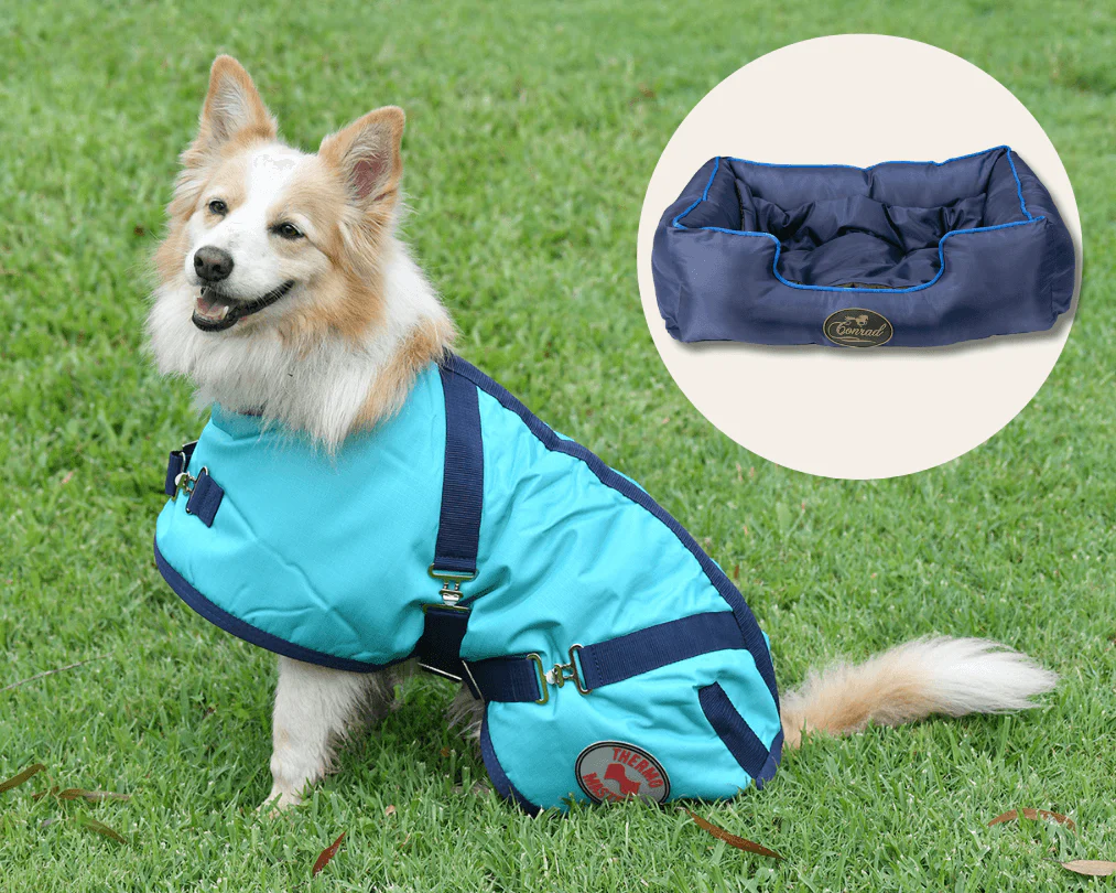 Dog Coat - Navy/Teal & Bed Bundle