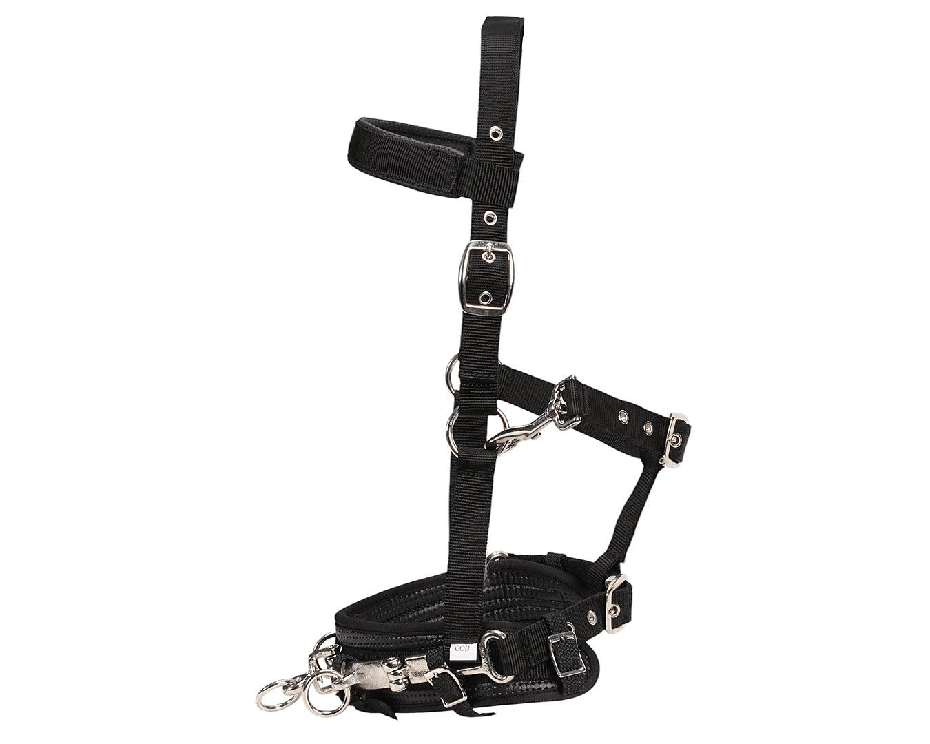 Equi-Prene Lunge Cavesson - Image 3