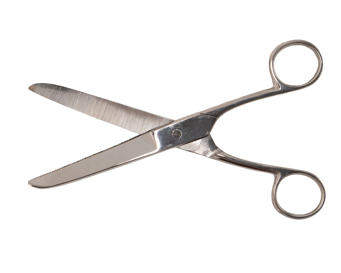 Show Master Fetlock Scissors