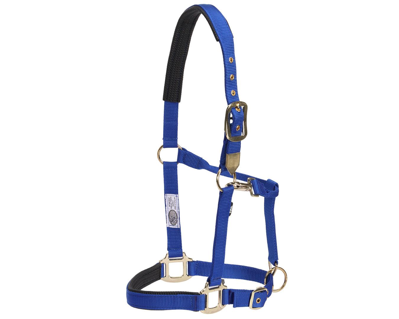 GG Australia Deluxe Nylon Halter - Image 8