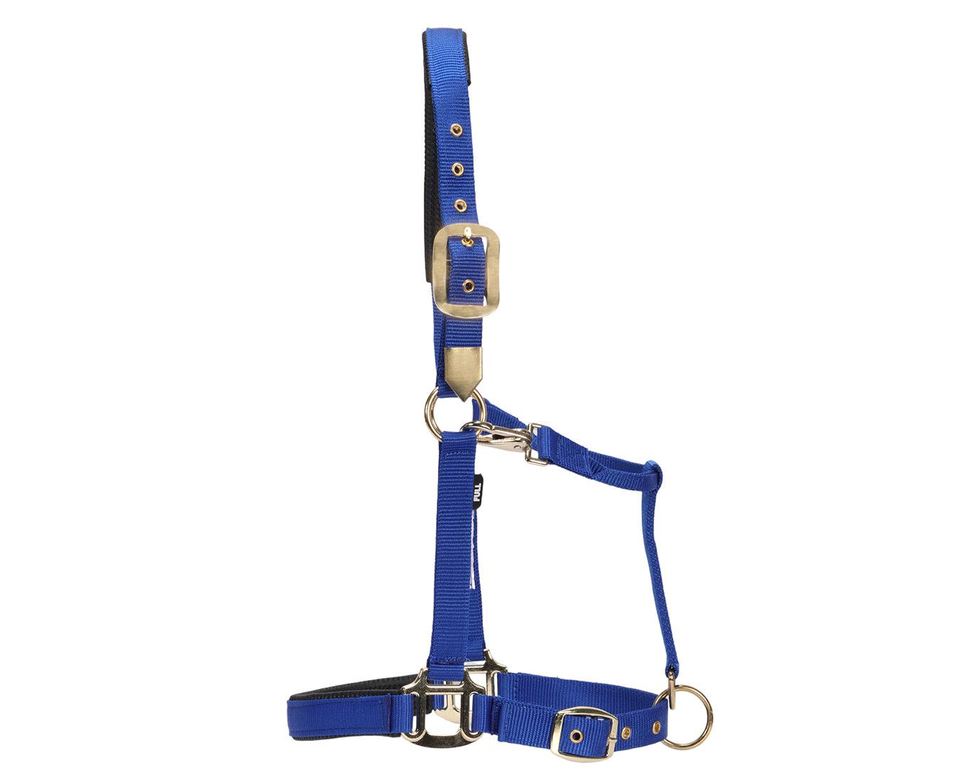 GG Australia Deluxe Nylon Halter - Image 9