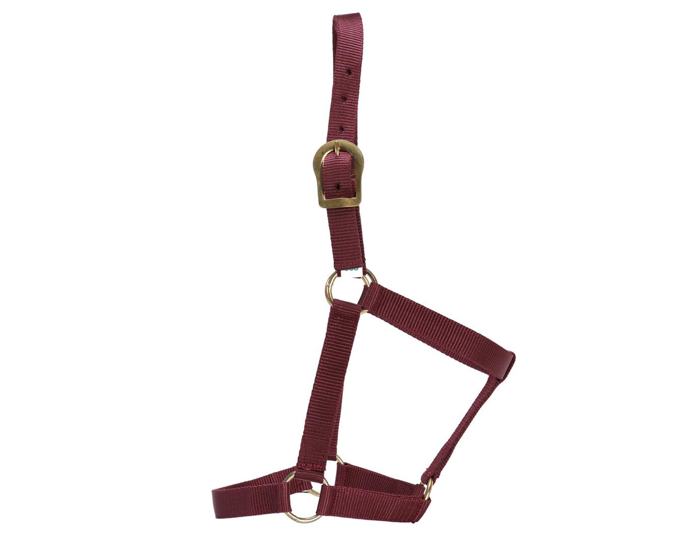GG Australia Stable Halter - Image 6