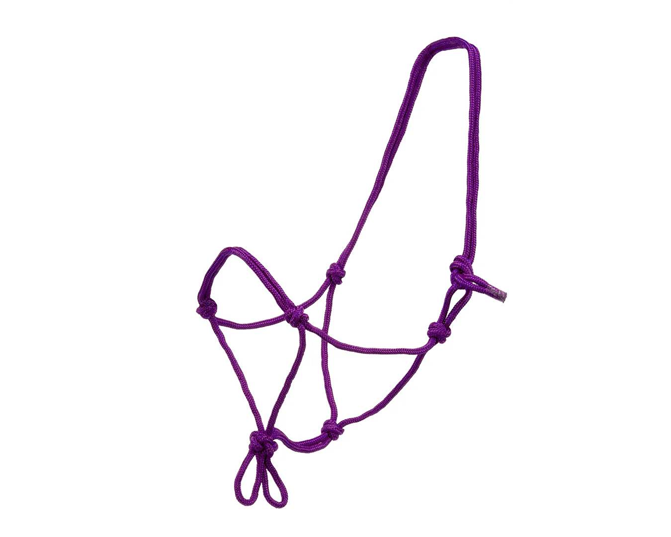 Happy Horse Knotted Rope Halter - Purple
