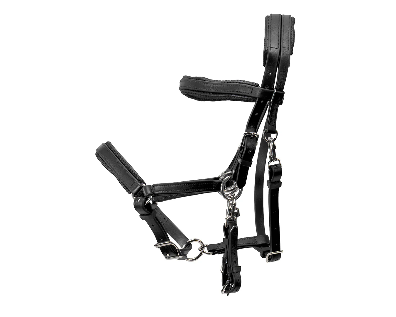 Horse Sense Endurance Bridle - Image 2