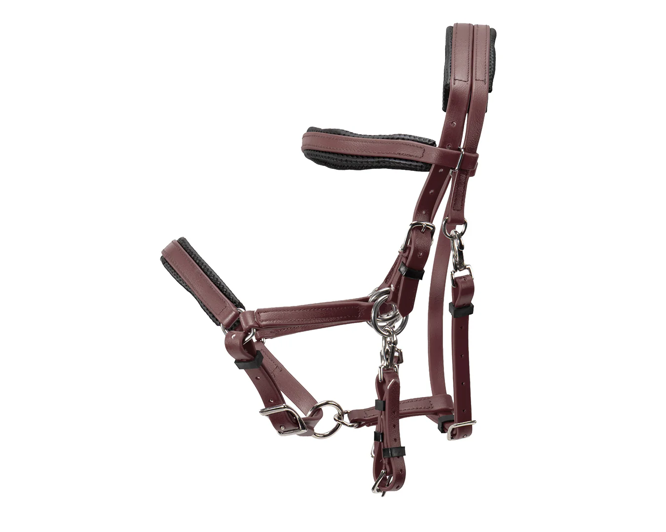 Horse Sense Endurance Bridle - Image 7