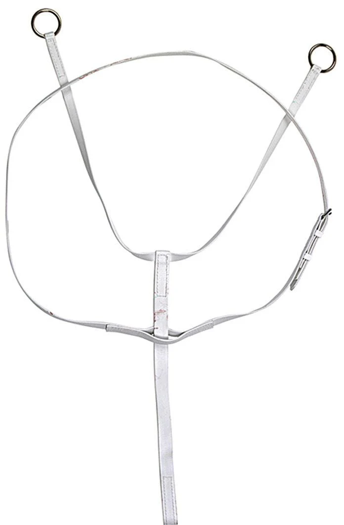 Horse Sense Race Exercise Martingale
