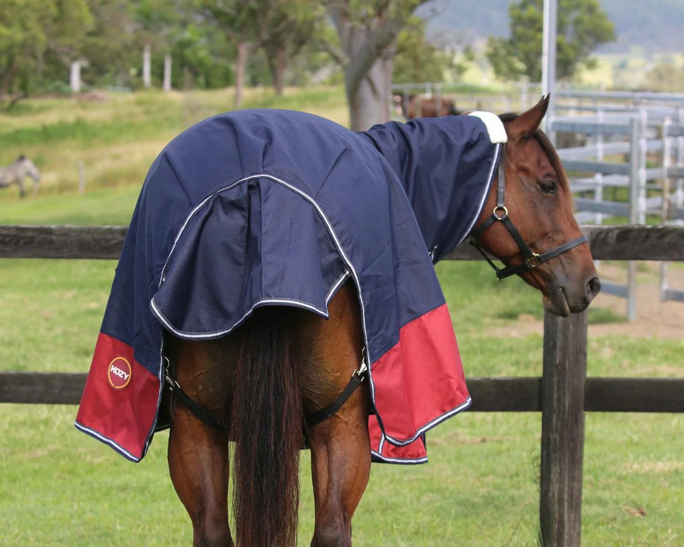 Kozy 1200D 100G Fill Queenslander Nylon Combo - Image 2