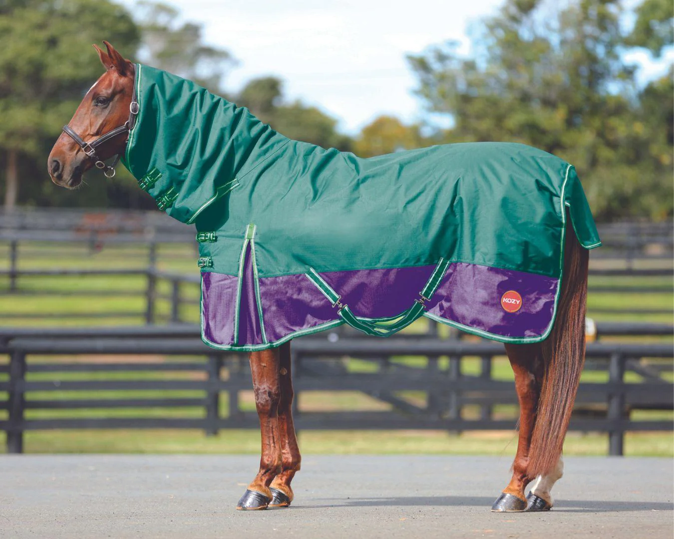 Kozy 1200D 200G Fill Nylon Combo - Purple & Green