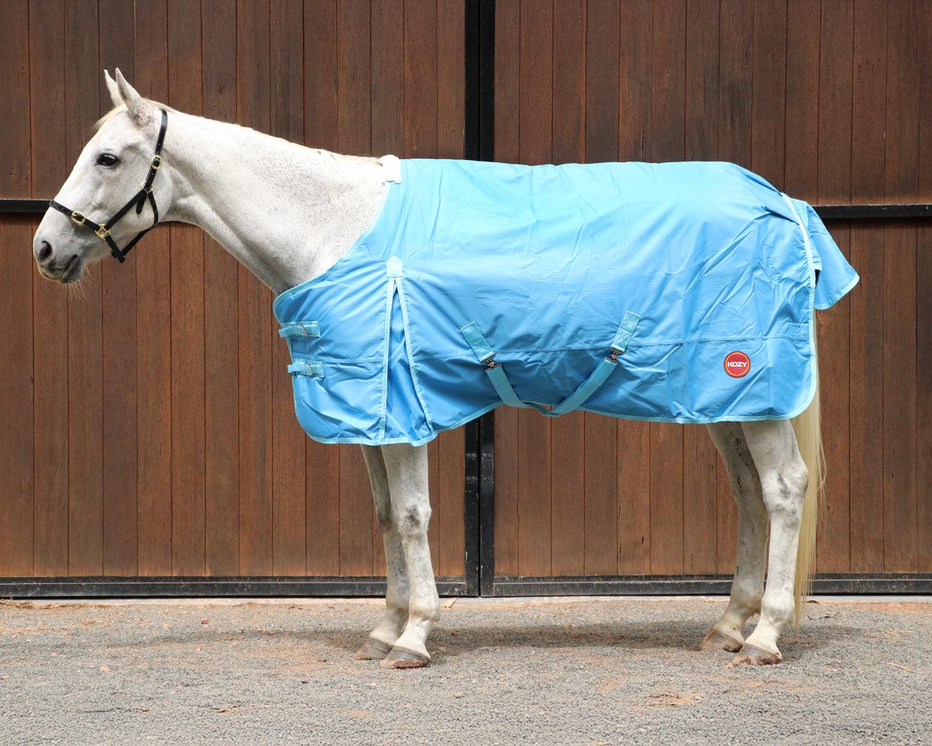 Kozy 600D 200G Fill Nylon Rug