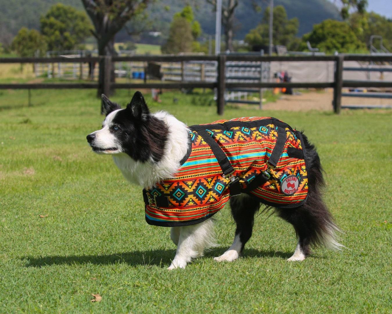 Thermo Master Supreme Dog Coat - Nicoma - Image 4
