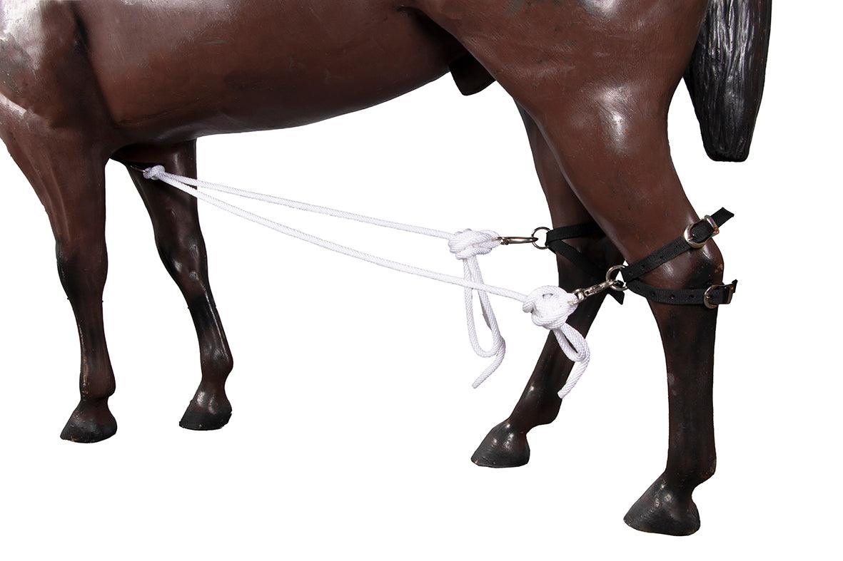 Nylon Breeding Hobbles - Image 5