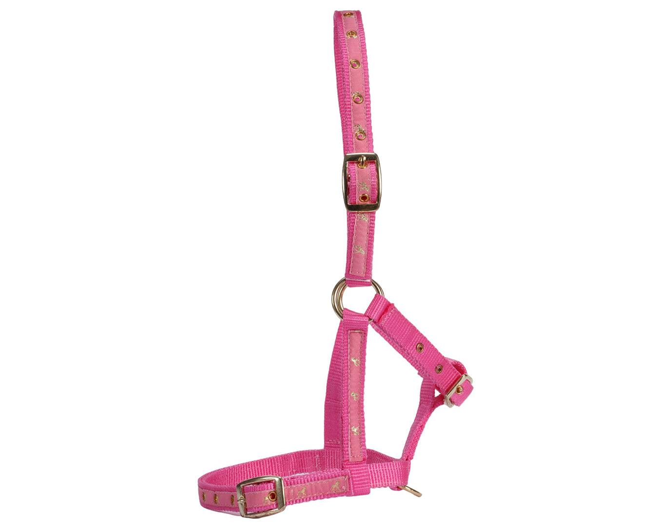 Rancher Deluxe Foal Halter - Image 5