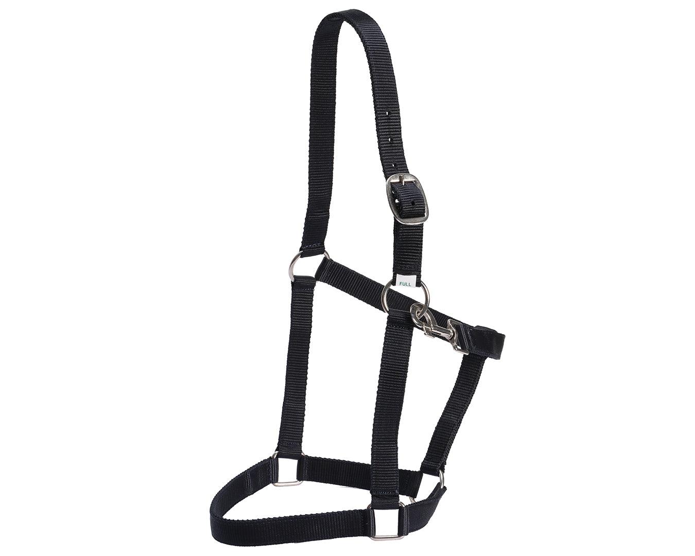 Rancher Economy Stable Halter - Various Colours - Image 2