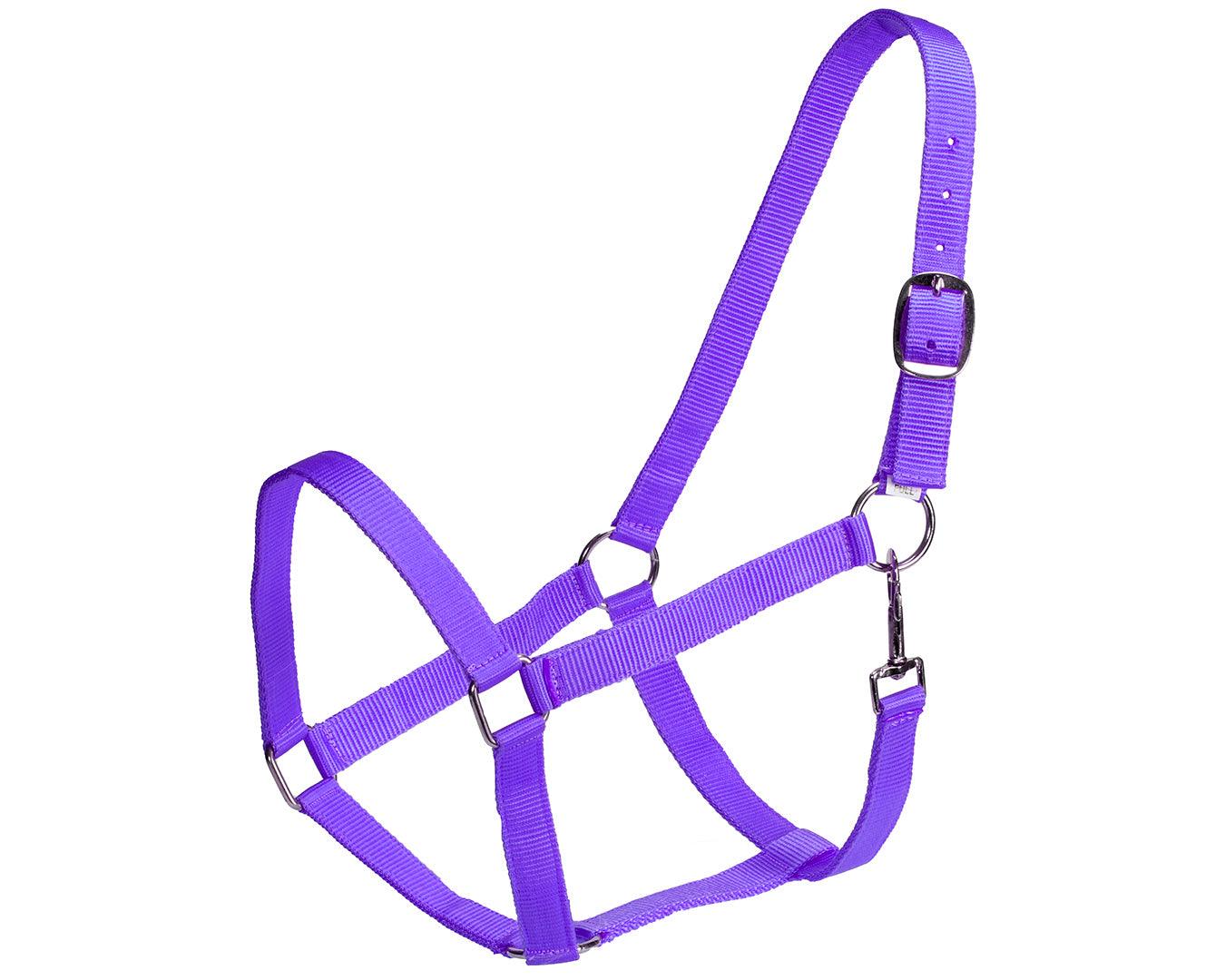 Rancher Economy Stable Halter - Various Colours - Image 9