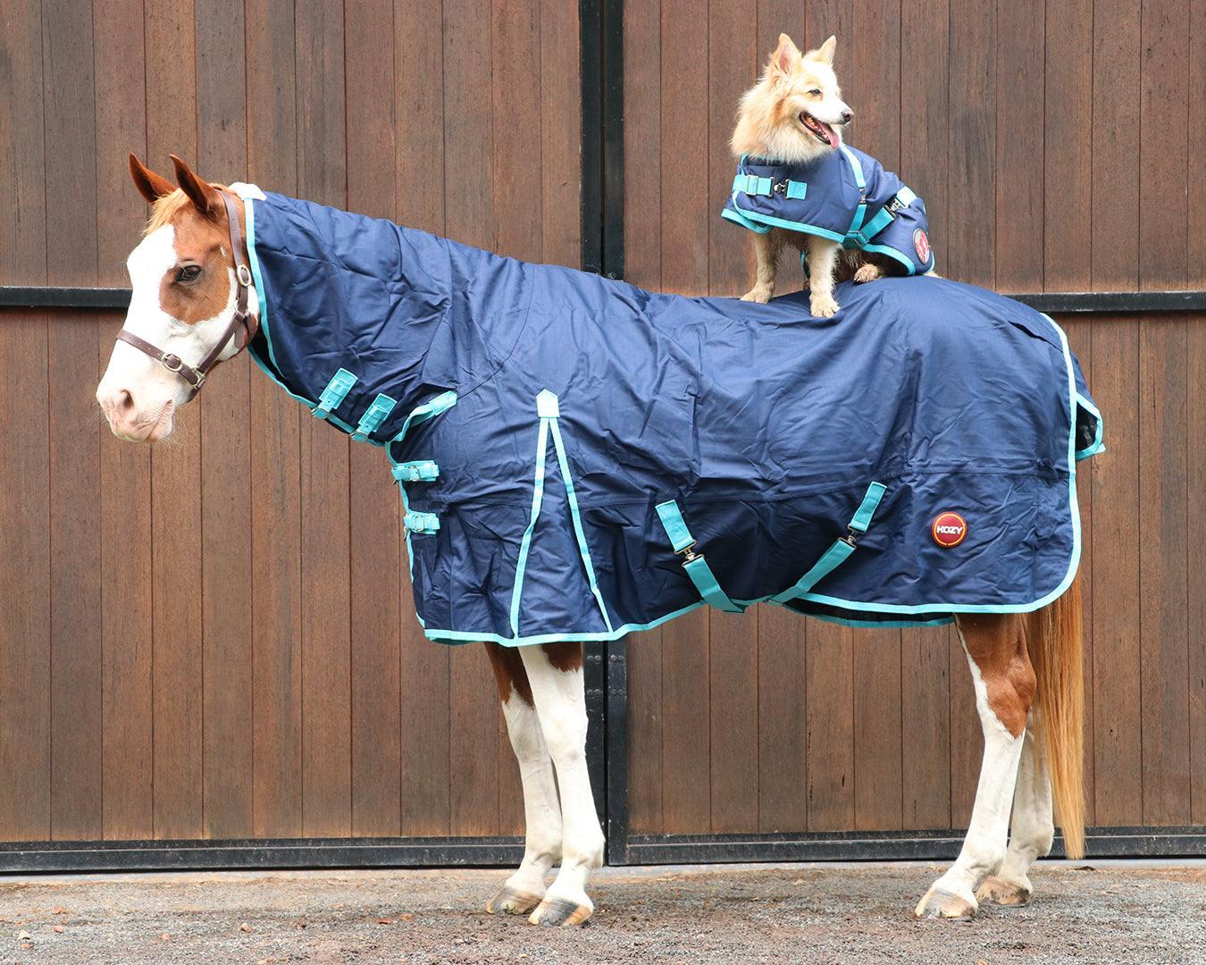 Kozy 1200D Lite Rainsheet Combo - Navy/Turquoise - Image 4
