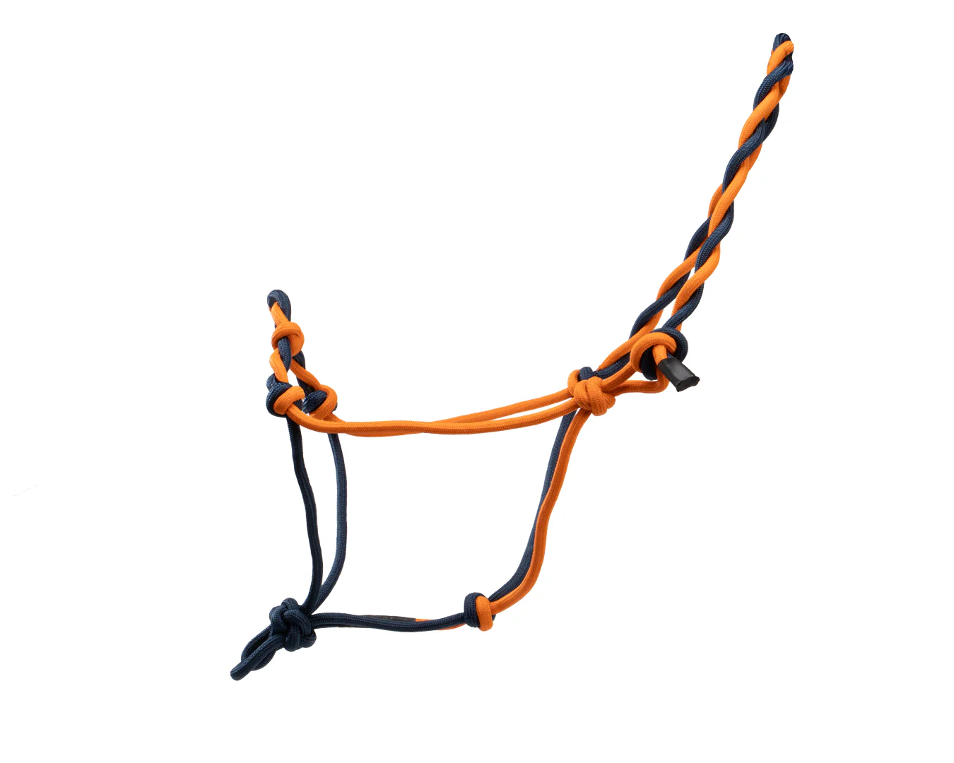 Texas Tack Twisted Knotted Rope Halter - Image 6