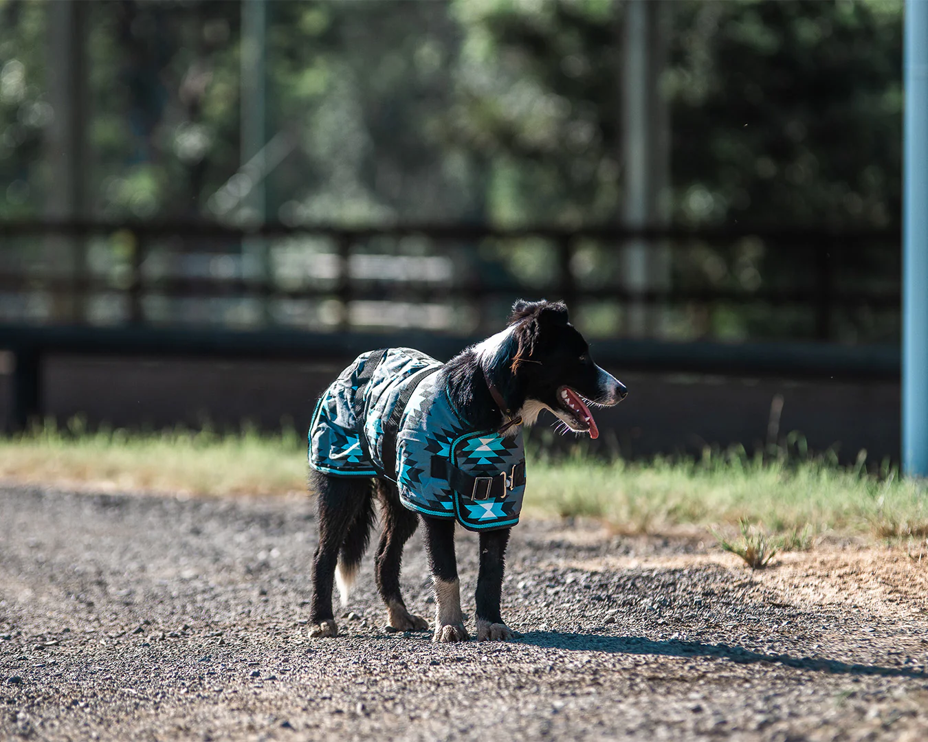 Thermo Master Supreme Dog Coat - Aztec/Turquoise