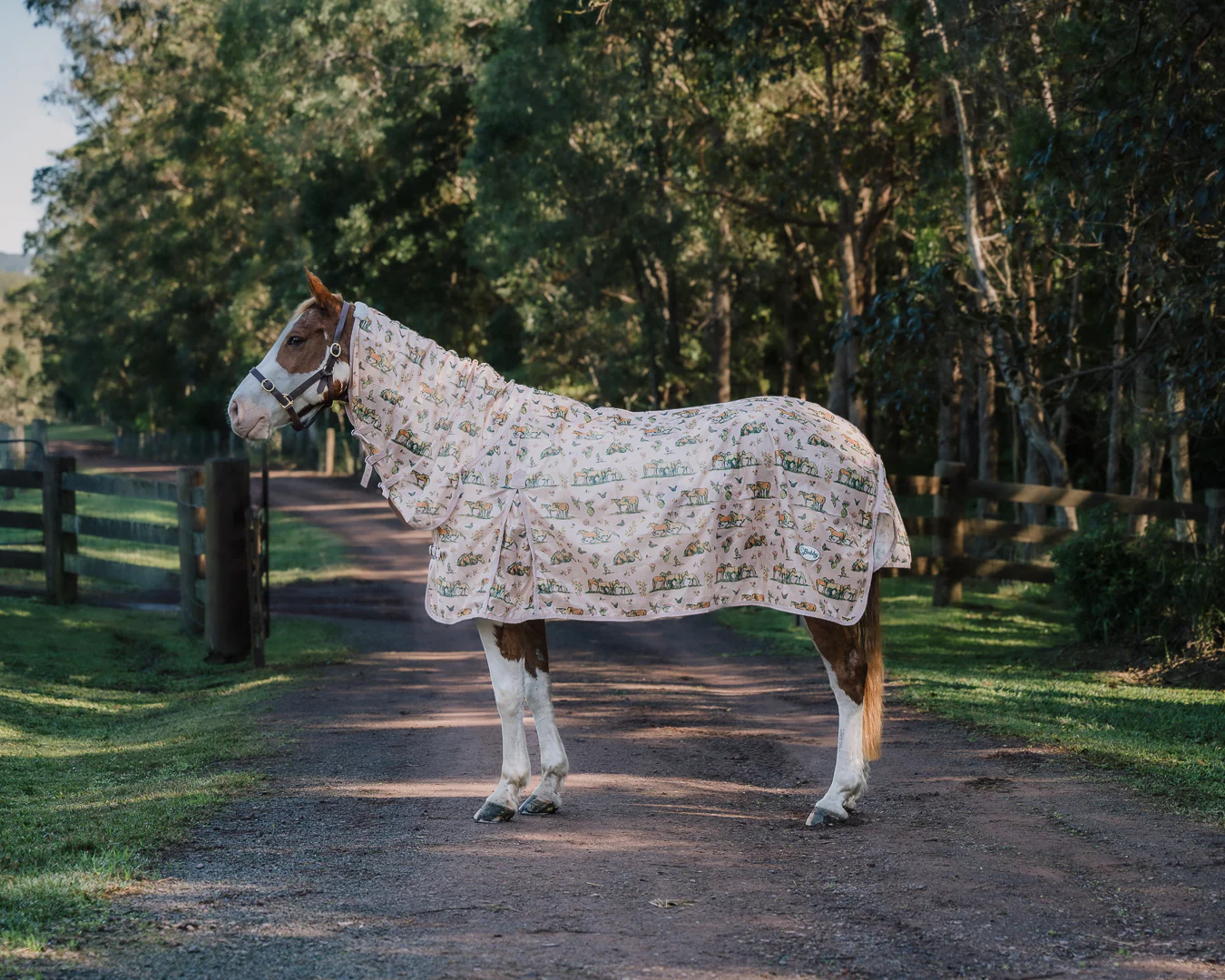 Wild Horse Bundle - Image 2